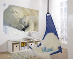 Φωτοταπετσαρία Polar bear. 1-605