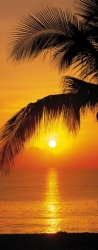 Φωτοταπετσαρία Palmy Beach Sunrise. 2-1255