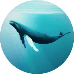 Φωτοταπετσαρία τοίχου DOT Whale Watching D1-081 με Φ:128 εκ