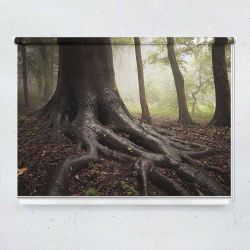 Ρόλερ με ψηφιακή εκτύπωση  Δέντρο με ρίζες