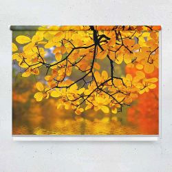 Ρόλερ με ψηφιακή εκτύπωση Φθινοπωρινά φύλλα
