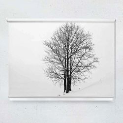 Ρόλερ με ψηφιακή εκτύπωση Tree in the snow