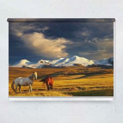 Ρόλερ με ψηφιακή εκτύπωση The Altai Mongolia