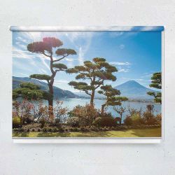 Ρόλερ με ψηφιακή εκτύπωση Fuji Japan