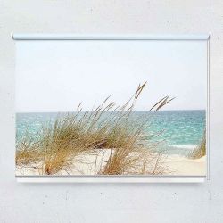 Ρόλερ με ψηφιακή εκτύπωση Beach