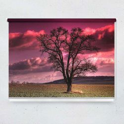 Ρόλερ με ψηφιακή εκτύπωση Ξερό δέντρο