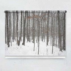Ρόλερ με ψηφιακή εκτύπωση Snow  in Dark forest