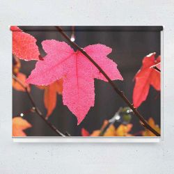 Ρόλερ με ψηφιακή εκτύπωση Pink leaves
