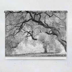 Ρόλερ με ψηφιακή εκτύπωση Ασπρόμαυρη φωτογραφία απο τοπίο