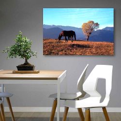 Πίνακας σε καμβά Horse and a tree