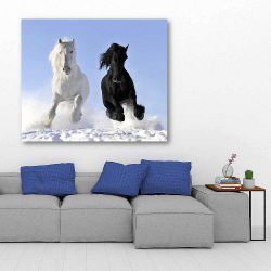Πίνακας σε καμβά White and black horse