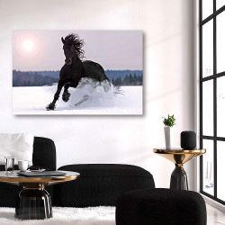 Πίνακας σε καμβά Frisian horse on snow