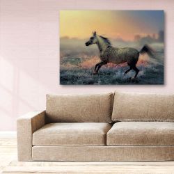 Πίνακας σε καμβά Grey Arabian horse