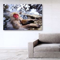 Πίνακας σε καμβά Japanese Snow Monkey