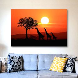 Πίνακας σε καμβά Large South African Giraffes at Sunset in Africa