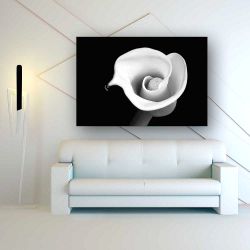 Πίνακας σε καμβά Black N White Flower