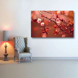 Πίνακας σε καμβά Beautiful flowering Japanese cherry