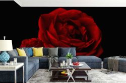 Φωτοταπετσαρία τοίχου με λουλούδια σε επιθυμητές διαστάσεις 485705