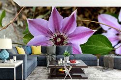 Φωτοταπετσαρία τοίχου με λουλούδια σε επιθυμητές διαστάσεις 485713