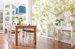 Φωτοταπετσαρία τοίχου με λουλούδια Daisies