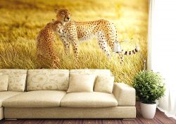 Φωτοταπετσαρία τοίχου με τίγρεις που παίζουν σε ένα χωράφι.