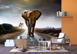 Φωτοταπετσαρία τοίχου με έναν ελέφαντα στο δρόμο της Αφρικής