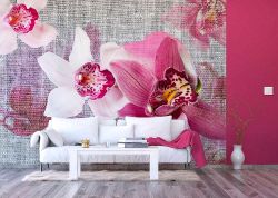Φωτοταπετσαρία τοίχου με μεγάλα ροζ και λευκά ανθισμένα λουλούδια