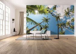 Φωτοταπετσαρία τοίχου με θέμα τα ψηλά φύλλα φοινικιών Coconut Heaven II SHX9-107