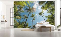 Φωτοταπετσαρία τοίχου Coconut Heaven SHX9-108 4.50x2.80 εκ.