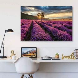 Πίνακας σε καμβά Field of Lavenders