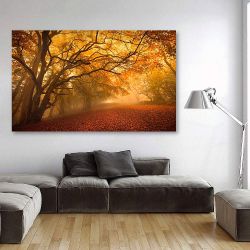 Πίνακας σε καμβά Golden Autumn Forest