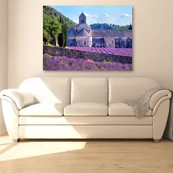 Πίνακας σε καμβά Blooming Lavender field in an Abbey