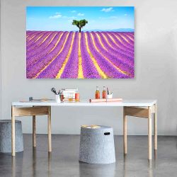 Πίνακας σε καμβά Lonely tree in a blooming Lavender field