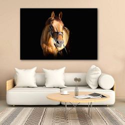Πίνακας σε καμβά - Άλογο σε μαύρο φόντο