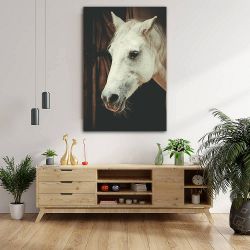 Πίνακας σε καμβά - Άσπρο άλογο