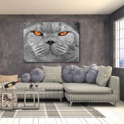 Πίνακας σε καμβά - Γκρι Γάτα