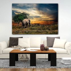 Πίνακας σε καμβά - Μοναχικός Ελέφαντας