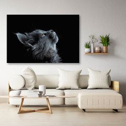 Πίνακας σε καμβά - Γάτα σε μαύρο φόντο