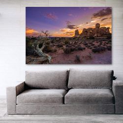 Πίνακας σε καμβά desert landscape