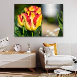 Πίνακας σε καμβά Tulips