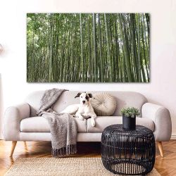 Πίνακας σε καμβά Bamboo trees