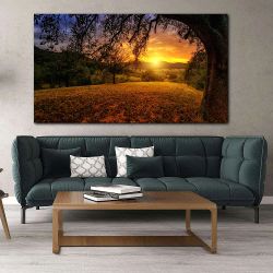 Πίνακας σε καμβά Sunrise in nature scene