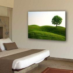 Πίνακας σε καμβά Green Field With an Elm Tree