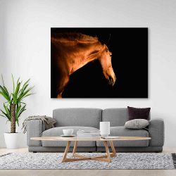 Πίνακας σε καμβά - Άλογο σε μαύρο φόντο