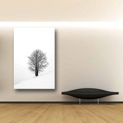 Πίνακας σε καμβά Lonely tree on snow field