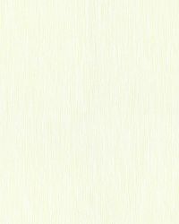 Μονόχρωμη  ταπετσαρία τοίχου Coloretto - 56526 53 X1000 εκ