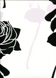 Ταπετσαρία τοίχου 53 X 1000 εκ με λουλούδια από την συλλογή Black n white . BW28745