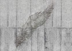 Φωτοταπετσαρία τοίχου Concrete Feather X7-1023 3.50x2.50 εκ.